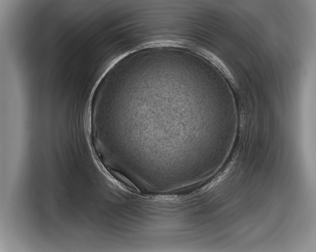 X0000116590844200912171552