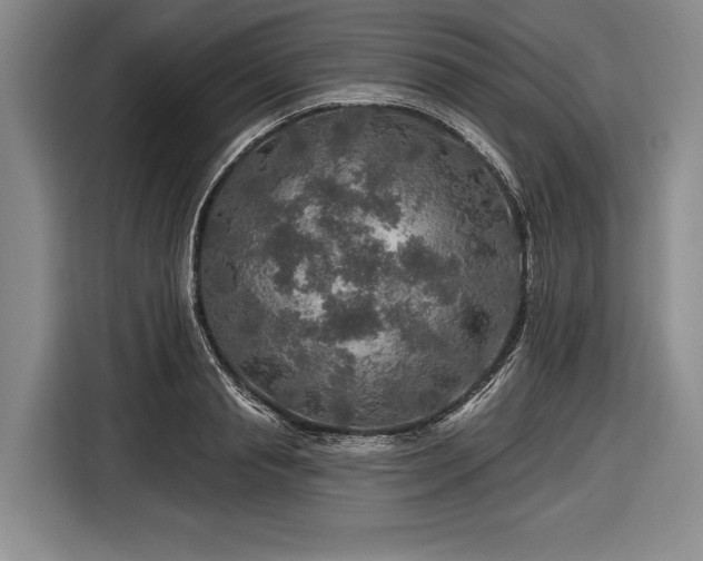 X0000116590845200912171552