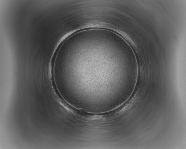 X0000116590846200912171552