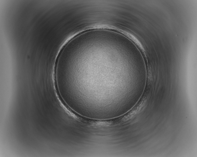 X0000116590847200912171552