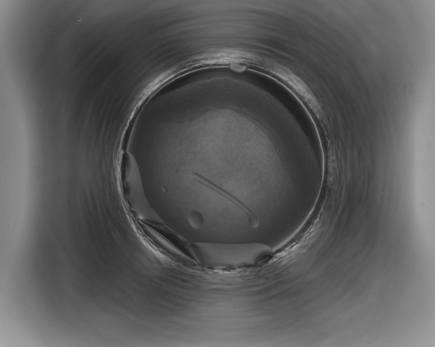 X0000116590850200912171552