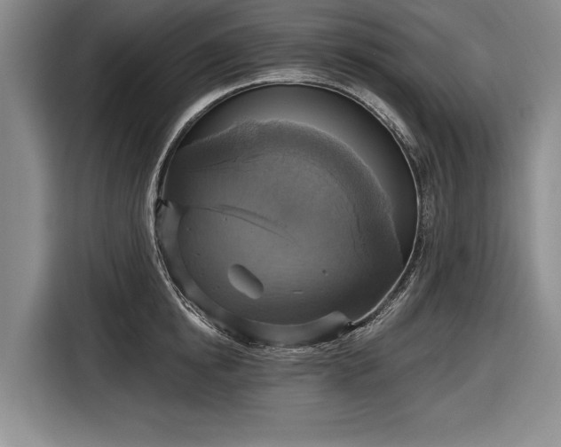 X0000116590854200912171552