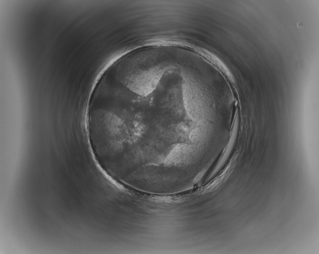 X0000116590855200912171552