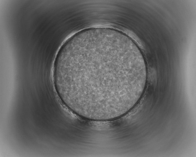 X0000116590856200912171552