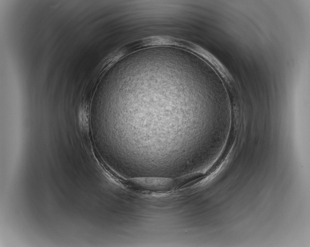 X0000116590857200912171552