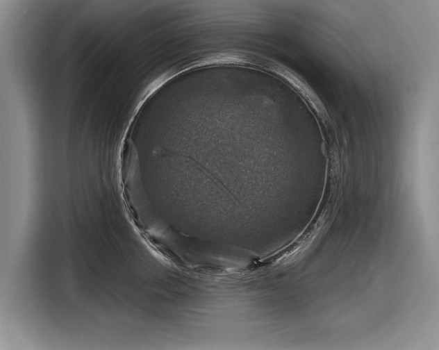 X0000116590858200912171552