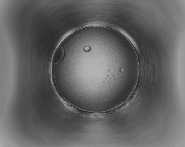 X0000116590861200912171552