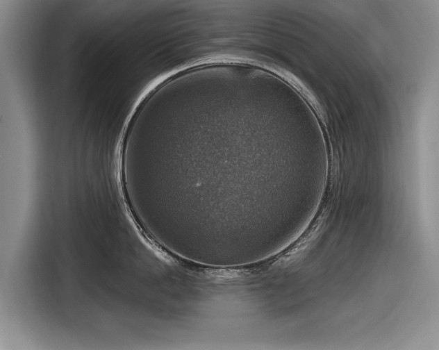 X0000116590862200912171552