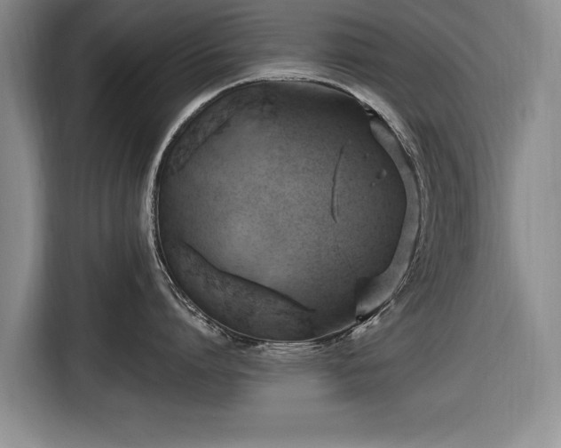 X0000116590864200912171552