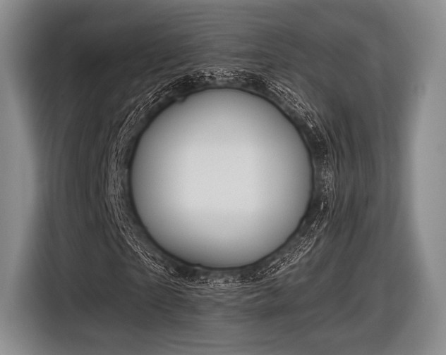 X0000116590865200912171551