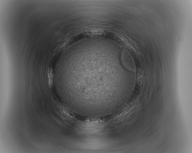 X0000116590866200912171551