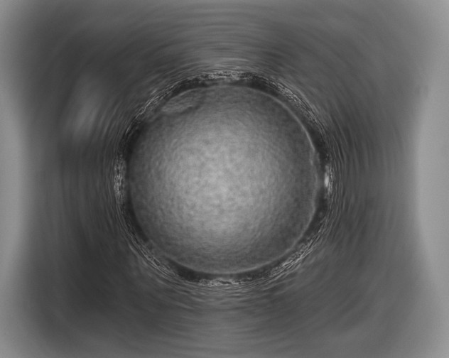 X0000116590867200912171551