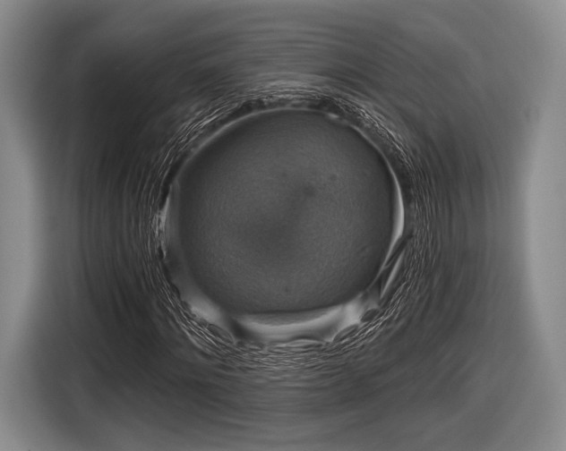 X0000116590868200912171551