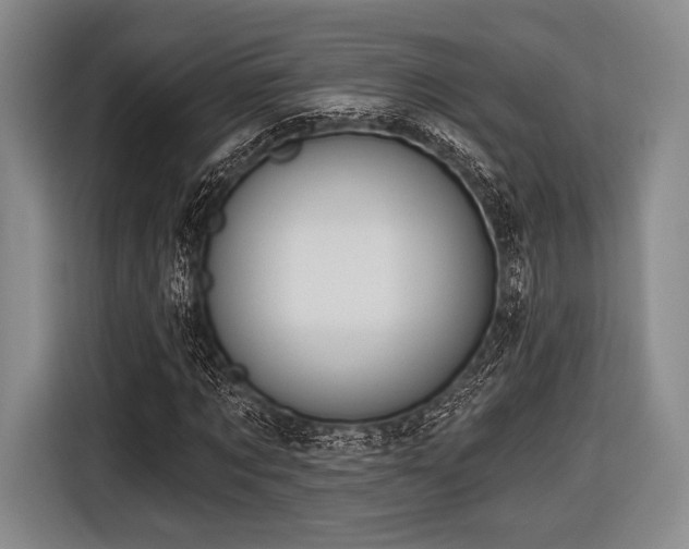 X0000116590869200912171551