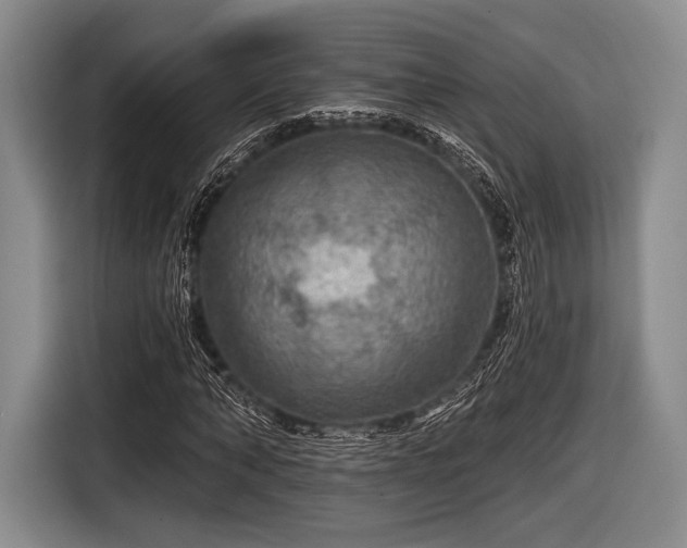 X0000116590870200912171551