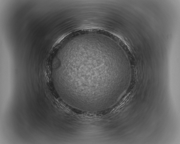 X0000116590871200912171551