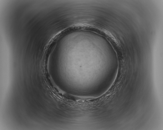 X0000116590872200912171551