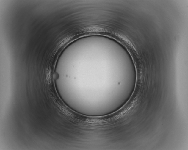 X0000116590873200912171551