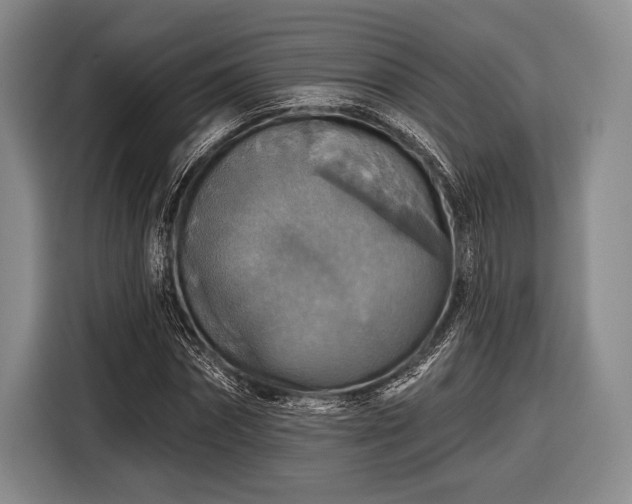 X0000116590874200912171551