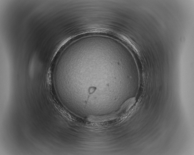 X0000116590875200912171551