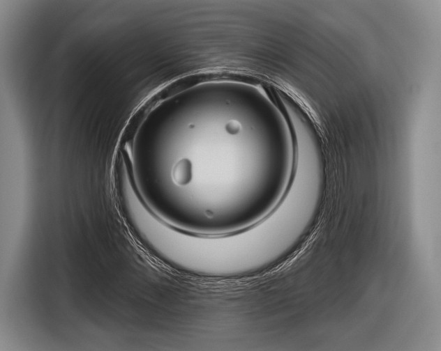 X0000116590876200912171551