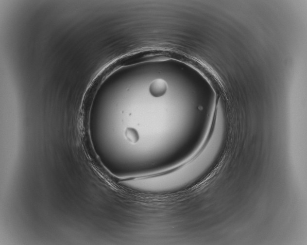 X0000116590878200912171551