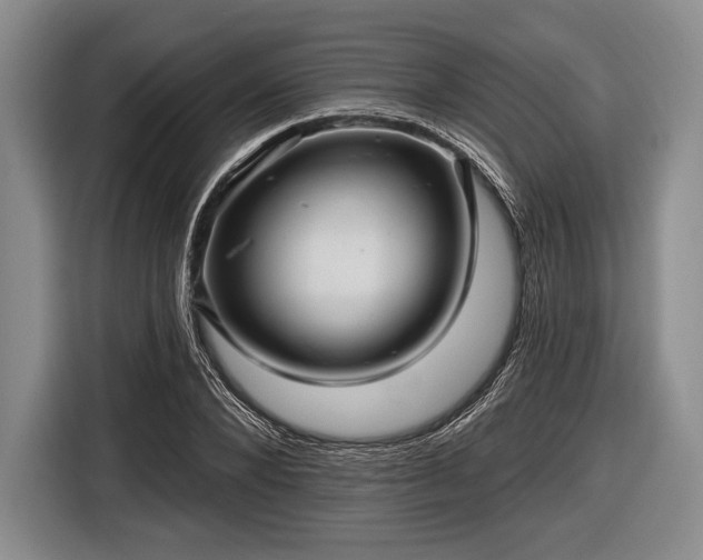 X0000116590880200912171551