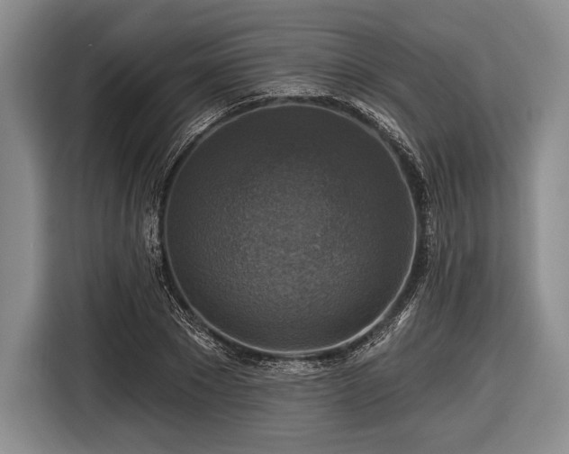 X0000116590881200912171551