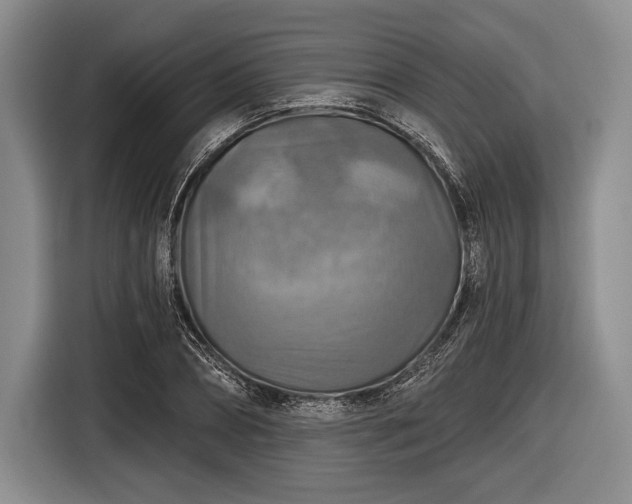 X0000116590882200912171551