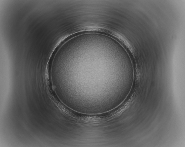 X0000116590883200912171551