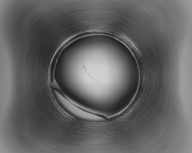 X0000116590884200912171551