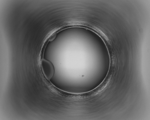 X0000116590885200912171551