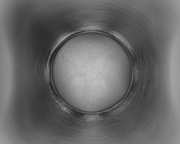 X0000116590886200912171551