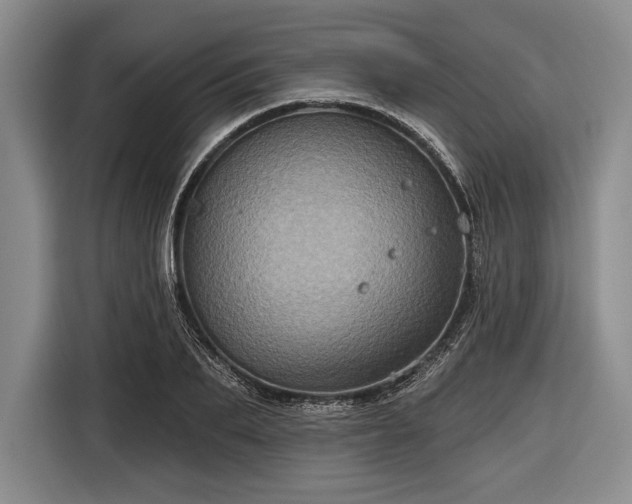 X0000116590887200912171551