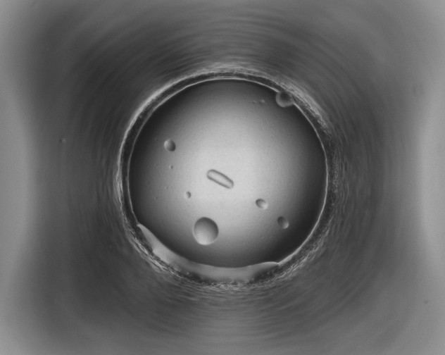 X0000116590888200912171551