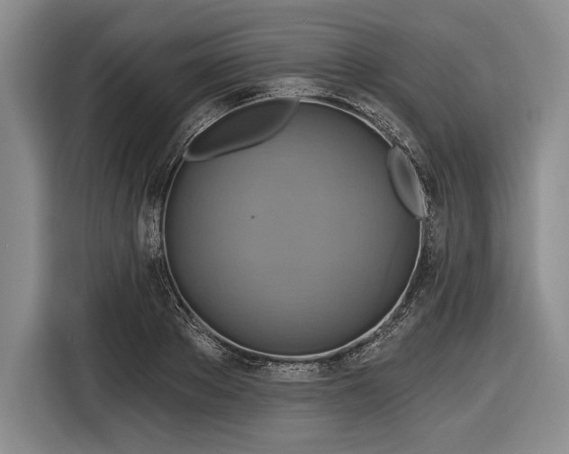 X0000116590889200912171551