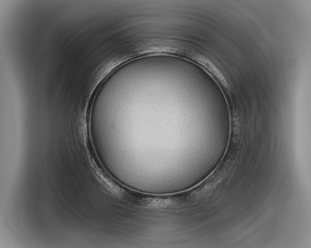 X0000116590890200912171551