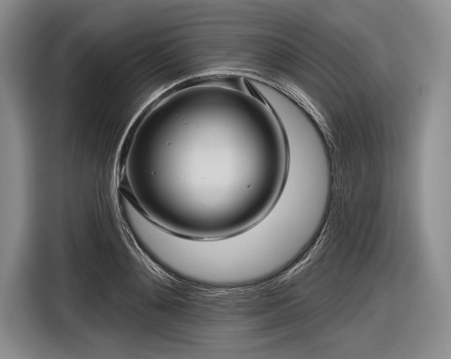 X0000116590892200912171551