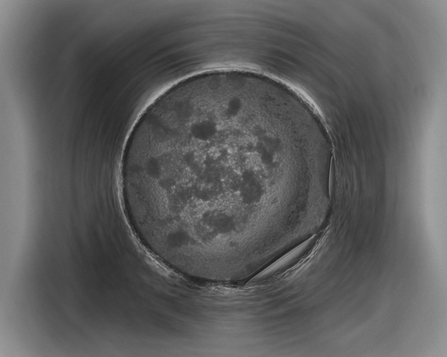 X0000116590895200912171551