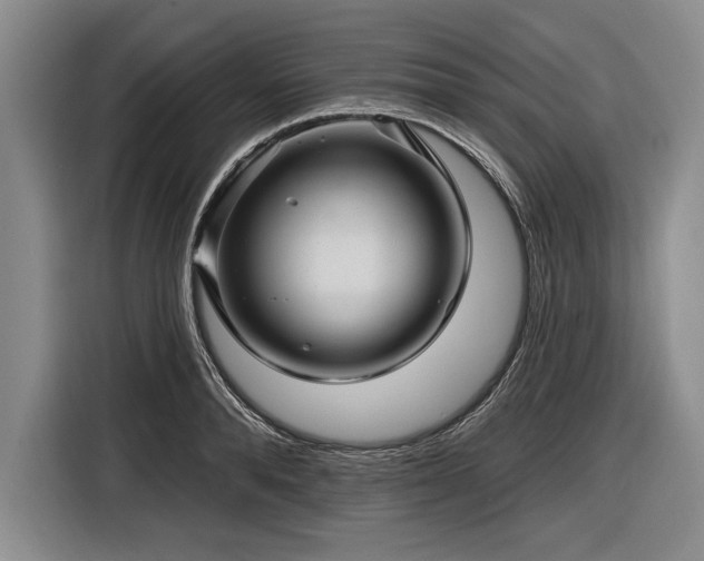 X0000116590896200912171551