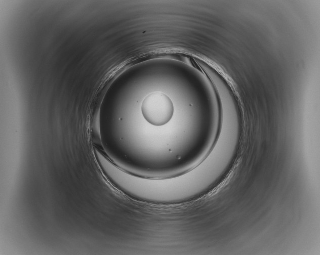 X0000116590897200912171551