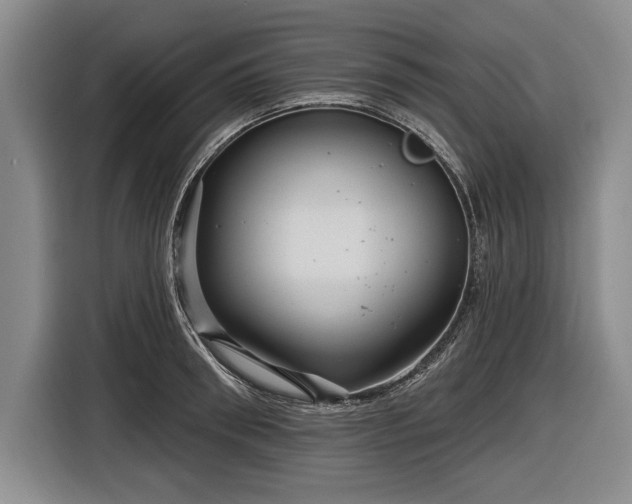 X0000116590898200912171551