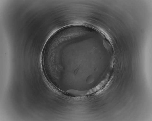 X0000116590899200912171551