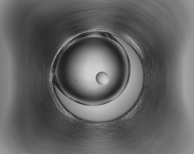 X0000116590900200912171551