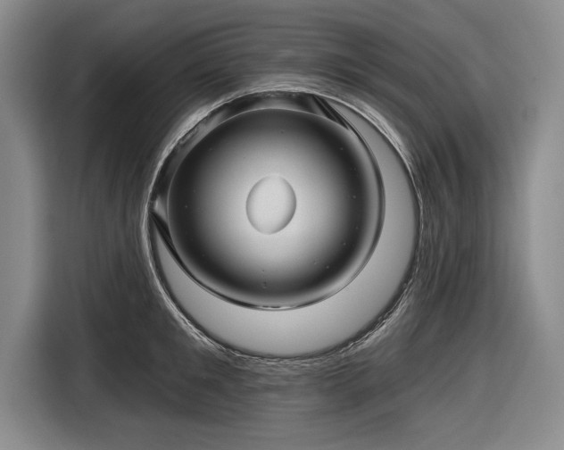 X0000116590901200912171551