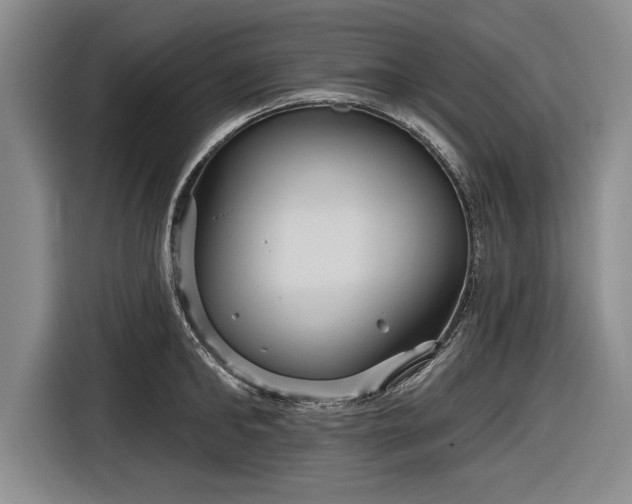 X0000116590902200912171551