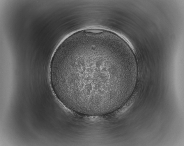 X0000116590903200912171551