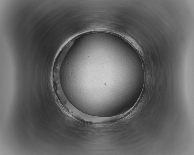 X0000116590904200912171551