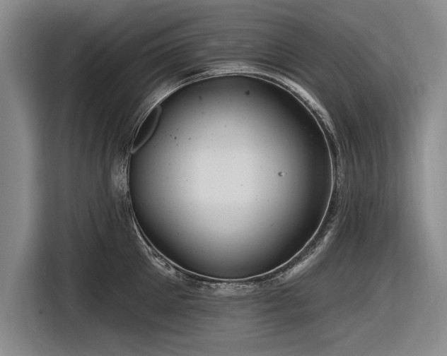 X0000116590905200912171551