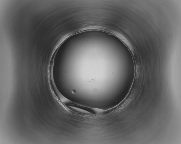 X0000116590906200912171551